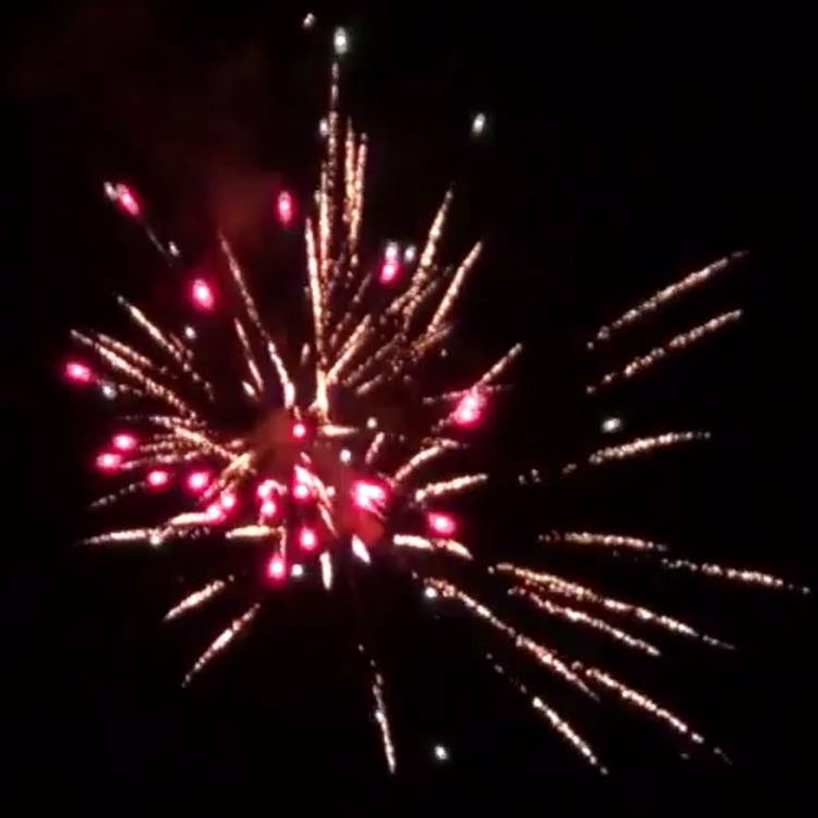 Pyrotrade - fireworks Vanadium - Feuerwerk kaufen Geburtstag Hochzeit Silvester