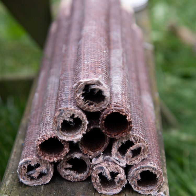 100 Hochwertige Fackeln 70 Minuten Brennzeit 100x Hochwertige Fackeln made in Germany 70 Min. Brennzeit 40cm lang Pechfackel Wachsfackel Fackeln Fackelwanderung Party Deko Garten-Deko Premium Fackel