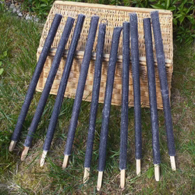 100 Stück 100 Min. Brenndauer Fackel 60cm lang gehobene Qualität Wachsfackel Fackelwanderung Hexenfeuer Grillparty Garten Deko