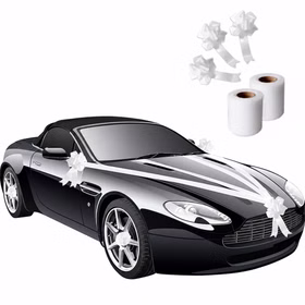 Schwarzes Hochzeitsauto mit weißen Tüllbändern und Autoschleifen, daneben drei Schleifen und zwei weiße Tüllrollen.
