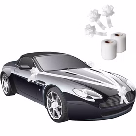 Chaffeur Set Hochzeitsfahrer 5-tlg. Schirm Autofahne Just Married Handschuhe Schirmmütze Chaffeur-Mütze Schleifenband Autoschleife Zubehör