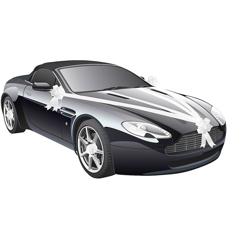 Chauffeur Set Hochzeitsfahrer 9-tlg. Brautauto-Deko Hochzeitswagen Chaffeur Set Hochzeitsfahrer 5-tlg. Schirm Autofahne Just Married Handschuhe Schirmmütze Chaffeur-Mütze Schleifenband Autoschleife Zubehör