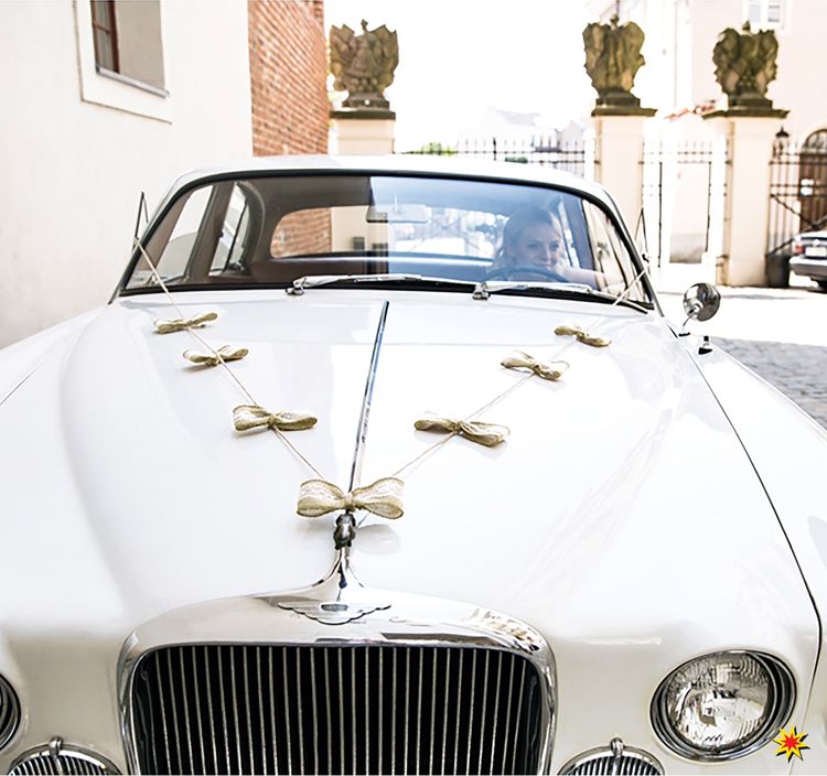 Autoschleifen Hochzeits-Set Motorhaube & Dosen Brautauto-Zubehör Autoschleifen Hochzeit Set Motorhaube Dosen braun weiß gold Brautauto Wedding Car Autoschmuck