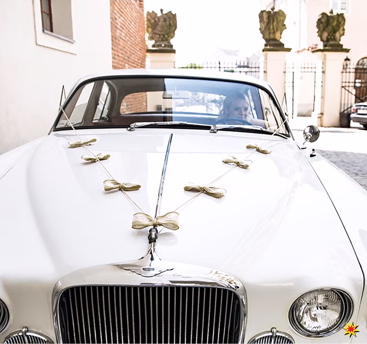 Autoschleifen Hochzeit Set Motorhaube Dosen braun weiß gold Brautauto Wedding Car Autoschmuck Autoschleifen Hochzeit Set Motorhaube Dosen braun weiß gold Brautauto Wedding Car Autoschmuck