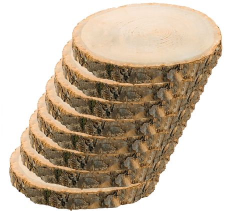 Holzscheibe Baumscheiben-Set 24 cm Deko Hochzeit, 8 Stück