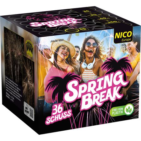 Spring Break Feuerwerksbatterie 35 Sek. von Nico 