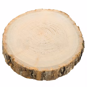 Holzscheibe Baumscheibe Deko Hochzeit 1 Stück 17 cm Tisch-Deko Geburtstag Basteln DIY Winter Weihnachtszeit Tischdekoration