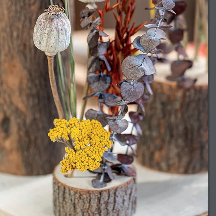 Baumstamm Kampferholz Holzstamm mit vorgebohrten Löchern 10 x 10 cm Deko DIY Basteln mit Kindern Weihnachts-Deko Osterbasteln Herbst Basteln in Jahreszeiten Hochzeit Geburtstag