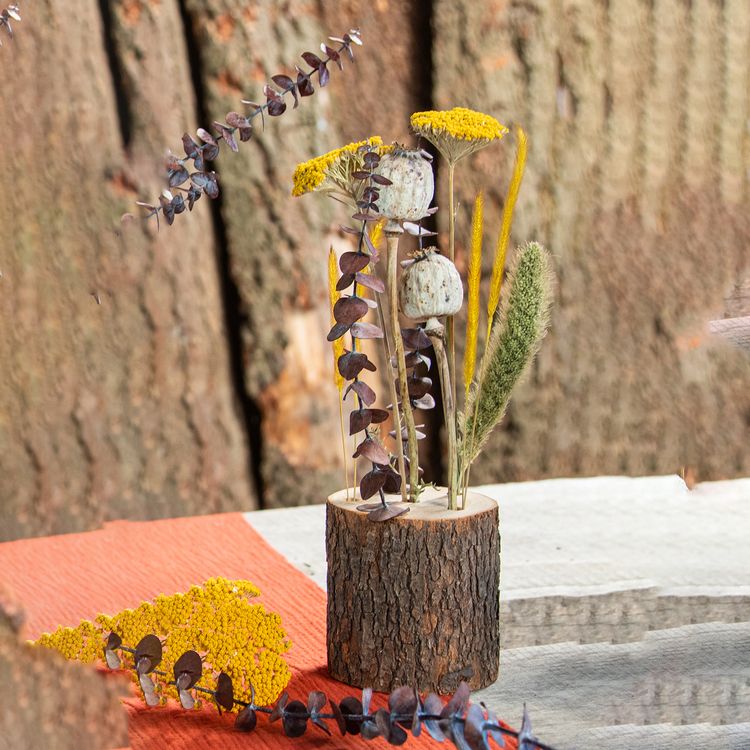 Baumstamm Kampferholz Holzstamm mit vorgebohrten Löchern 10 x 10 cm Deko DIY Basteln mit Kindern Weihnachts-Deko Osterbasteln Herbst Basteln in Jahreszeiten Hochzeit Geburtstag