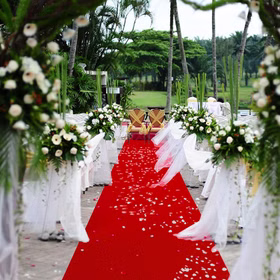 Roter Teppich 450 x 60 cm VIP Party-Zubehör Läufer Hochzeit Geburtstag Blumenkinder Trauung Mottoparty Fasching Karneval Hinweis: KI generiertes Bild
