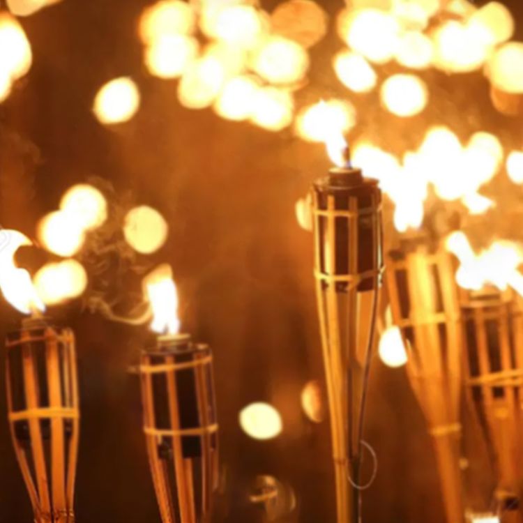 Bambusfackel 20 Stück Gartenfackeln mit Docht 90cm Outdoor-Fackel Deko Bambusfackel 20 Stück Gartenfackeln mit Docht 90 cm lang Outdoor-Fackel Deko Garten-Beleuchtung