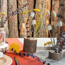 Baumstamm 10 x 4 cm Kampferholz Holzstamm mit vorgebohrten Löchern Deko Basteln mit Kindern Weihnachts-Deko Osterbasteln Herbst Basteln in Jahreszeiten Hochzeit Geburtstag