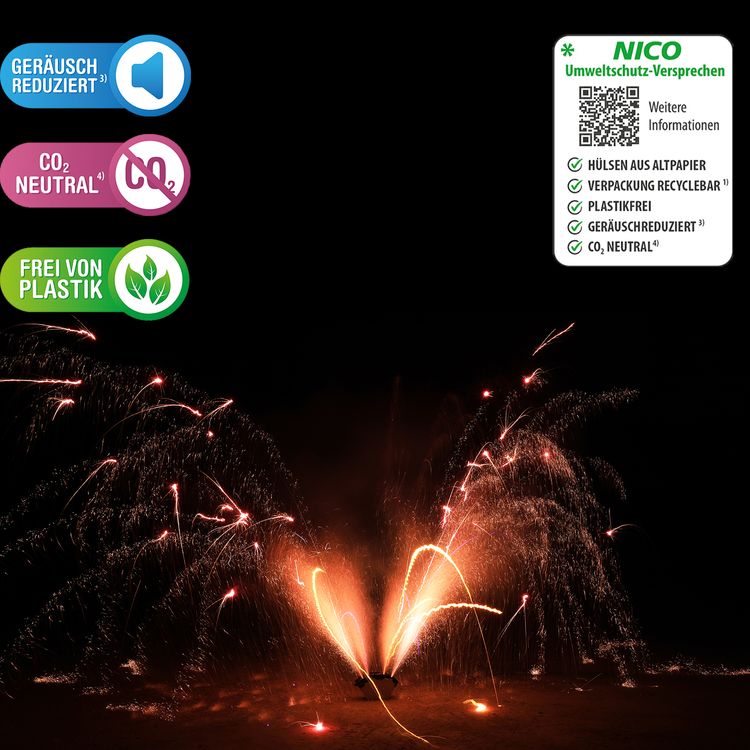 Venezia Bodenfontäne 60 Sek. von Nico