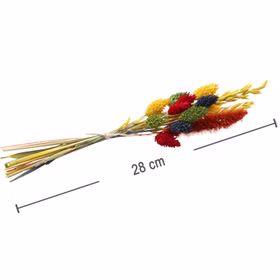 Blumenstrauß getrocknet 28 cm Trockenfloristik Herbst Getreide bunt Deko Basteln Hochzeit Geburtstag Garten-Party Blumen Herbst-Deko Dekoration Blumenstrauß getrocknet 28 cm Trockenfloristik Herbst Getreide bunt Deko Basteln Hochzeit Geburtstag Garten-Party Blumen Herbst-Deko Dekoration