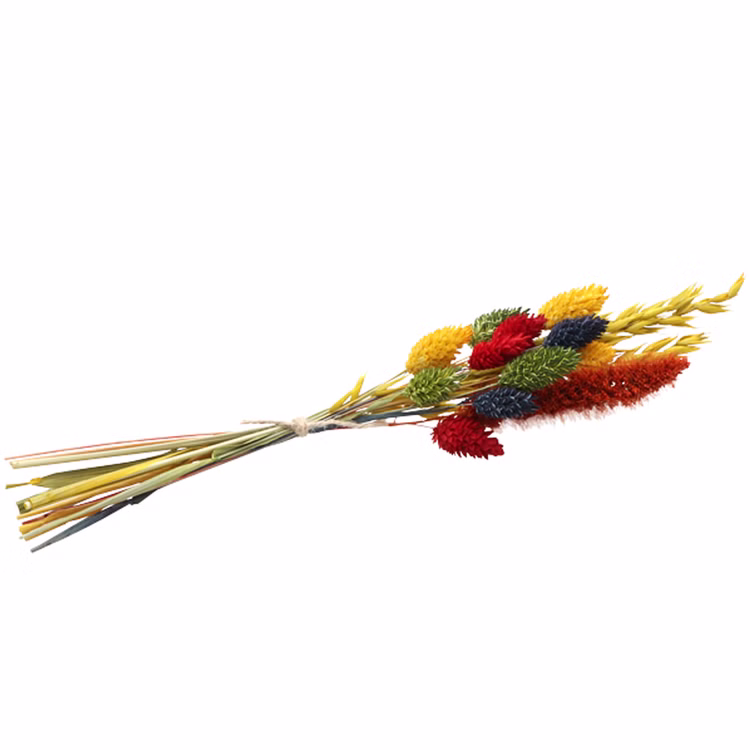 Blumenstrauß getrocknet 28 cm Trockenfloristik Herbst Getreide bunt Deko Basteln Hochzeit Geburtstag Garten-Party Blumen Herbst-Deko Dekoration Blumenstrauß getrocknet 28 cm Trockenfloristik Herbst Getreide bunt Deko Basteln Hochzeit Geburtstag Garten-Party Blumen Herbst-Deko Dekoration