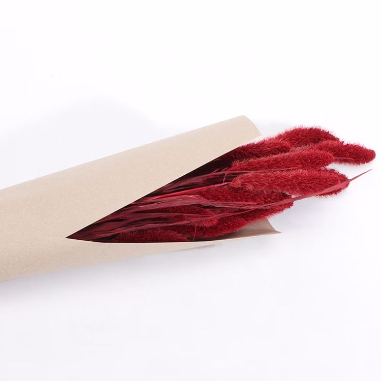 Setaria Trockenblumen Strauß Rot 100g 74 cm Wohn-Deko Schilfgras Tisch-Deko Herbst Dekoration Wohn-Accessoires Blumenstrauß Basteln & Dekorieren Setaria Trockenblumen Strauß Rot 100g 74 cm Wohn-Deko Schilfgras Tisch-Deko Herbst Dekoration Wohn-Accessoires Blumenstrauß Basteln & Dekorieren