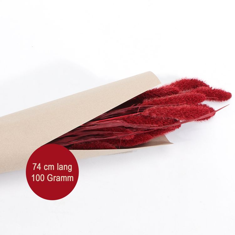 Setaria Trockenblumen Strauß 100g 74 cm Wohn-Deko Schilfgras  Tisch-Deko Setaria Trockenblumen Strauß Rot gebranntes Orange natürliches Grün 100g 74 cm Wohn-Deko Schilfgras Tisch-Deko Herbst Dekoration Wohn-Accessoires Blumenstrauß Basteln & Dekorieren