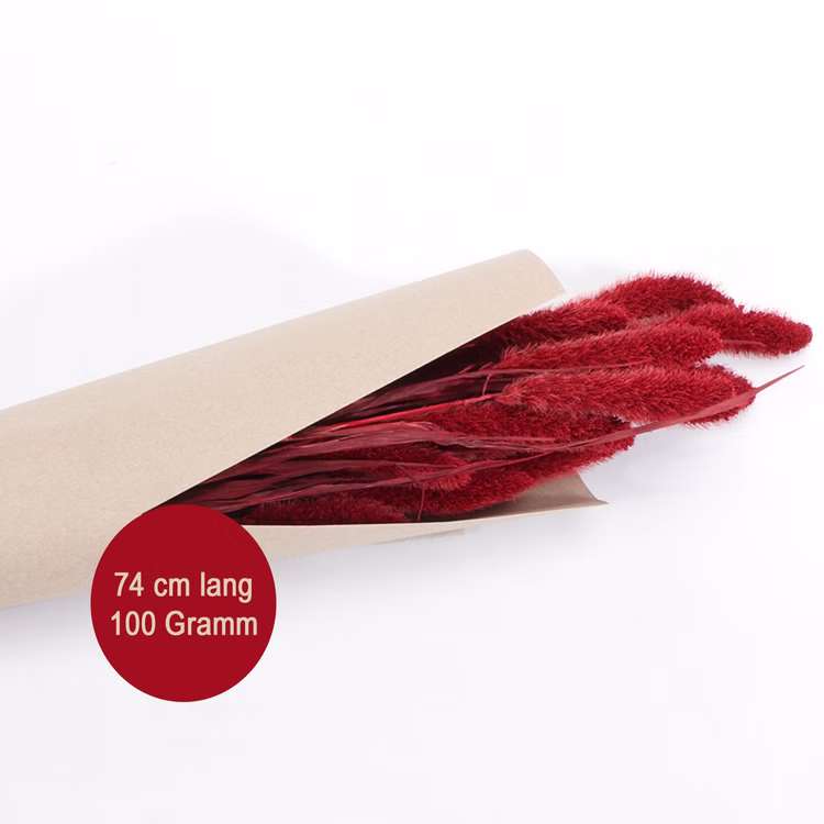 Setaria Trockenblumen Strauß Rot 100g 74 cm Wohn-Deko Schilfgras Tisch-Deko Herbst Dekoration Wohn-Accessoires Blumenstrauß Basteln & Dekorieren Setaria Trockenblumen Strauß Rot 100g 74 cm Wohn-Deko Schilfgras Tisch-Deko Herbst Dekoration Wohn-Accessoires Blumenstrauß Basteln & Dekorieren