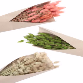 Strauß Lagurus Rosa Grün Natur 100g 72 cm Trockenblumen Lagurus Schilfgras Deko Wohn-Deko Schilfgras Tisch-Deko Herbst Dekoration Wohn-Accessoires Blumenstrauß Basteln & Dekorieren Strauß Lagurus Rosa Grün Natur 100g 72 cm Trockenblumen Lagurus Schilfgras Deko Wohn-Deko Schilfgras Tisch-Deko Herbst Dekoration Wohn-Accessoires Blumenstrauß Basteln & Dekorieren