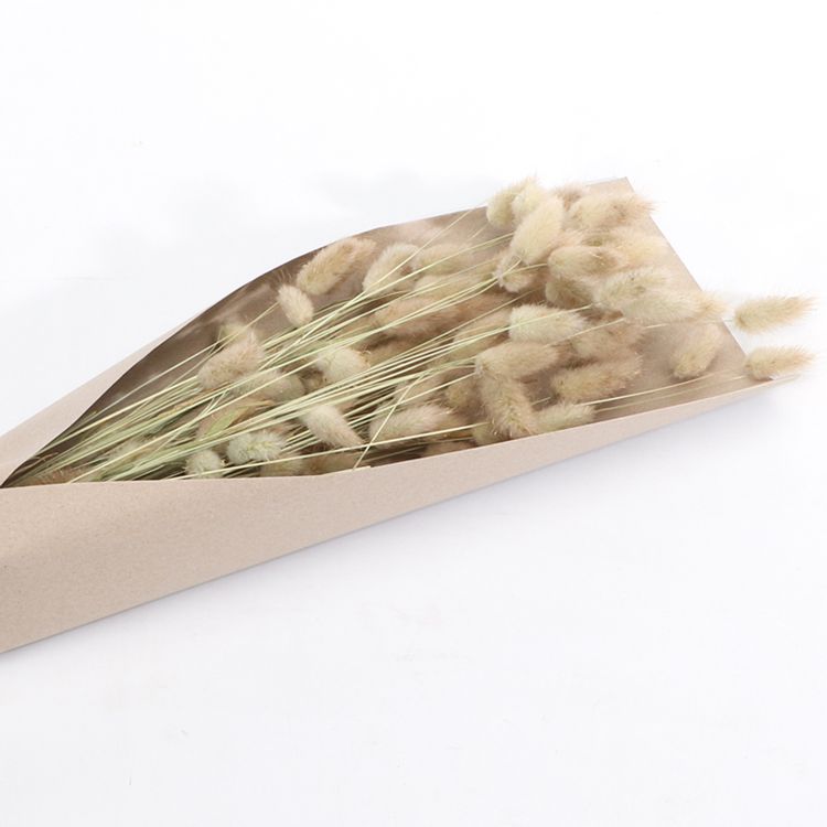 Strauß Lagurus Rosa Grün Natur 100g 72 cm Trockenblumen Lagurus Schilfgras Deko Wohn-Deko Schilfgras Tisch-Deko Herbst Dekoration Wohn-Accessoires Blumenstrauß Basteln & Dekorieren