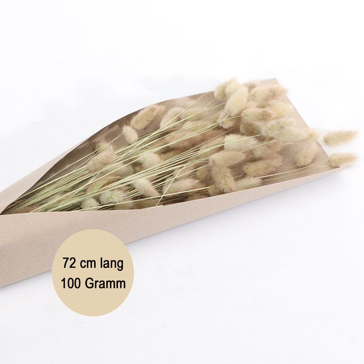 Strauß Lagurus Rosa Grün Natur 100g 72 cm Trockenblumen Lagurus Schilfgras Deko Wohn-Deko Schilfgras Tisch-Deko Herbst Dekoration Wohn-Accessoires Blumenstrauß Basteln & Dekorieren