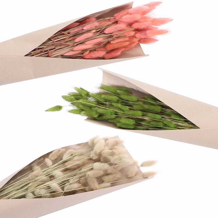 Strauß Lagurus Rosa Grün Natur 100g 72 cm Trockenblumen Lagurus Schilfgras Deko Wohn-Deko Schilfgras Tisch-Deko Herbst Dekoration Wohn-Accessoires Blumenstrauß Basteln & Dekorieren Strauß Lagurus Rosa Grün Natur 100g 72 cm Trockenblumen Lagurus Schilfgras Deko Wohn-Deko Schilfgras Tisch-Deko Herbst Dekoration Wohn-Accessoires Blumenstrauß Basteln & Dekorieren