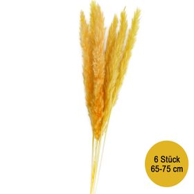 Getrocknetes Pampasgras Rot Gelb 6 Stück 65-75 cm lang Trockenblumen Deko Tisch-Deko Hochzeit Geburtstag Garten-Party Sommerfest Wohn-Accessoire Wohn-Deko Vasen-Deko Dekoideen