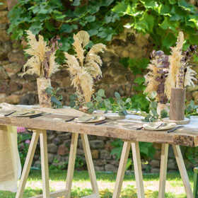 Getrocknetes Pampasgras 6 Stück 65-75 cm lang Trockenblumen Deko Tisch-Deko Hochzeit Geburtstag Garten-Party Sommerfest Wohn-Accessoire Wohn-Deko Vasen-Deko Dekoideen Getrocknetes Pampasgras 6 Stück 65-75 cm lang Trockenblumen Deko Tisch-Deko Hochzeit Geburtstag Garten-Party Sommerfest Wohn-Accessoire Wohn-Deko Vasen-Deko Dekoideen