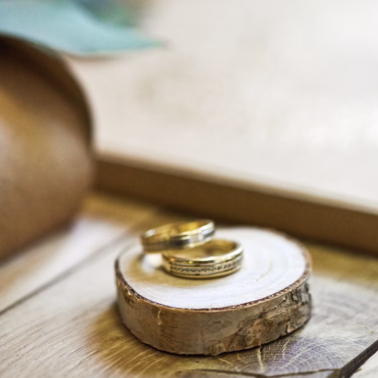Baumscheibe Birke 20 Stück 4,5-6,5 x 1 cm Holzscheibe Tisch-Deko Basteln DIY Bastelbedarf Namensschild Baumscheibe zum Beschriften Hochzeit Geburtstag Baumscheibe Birke 20 Stück 4,5-6,5 x 1 cm Holzscheibe Tisch-Deko Basteln DIY Bastelbedarf Namensschild Baumscheibe zum Beschriften Hochzeit Geburtstag