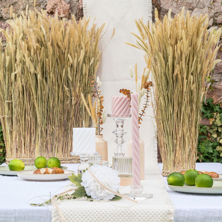 Stumpenkerze mit Zopfmuster Kerzen-Deko in Pastell 7 x 7,5 cm Brenndauer 26 h Stumpenkerze mit Zopfmuster Kerzen-Deko in Pastell 7 x 7,5 cm Brenndauer 26 h