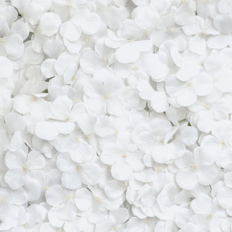 Blumenpaneel weiße Hortensien 60 x 40 cm Wand-Deko Hochzeit Geburtstag
