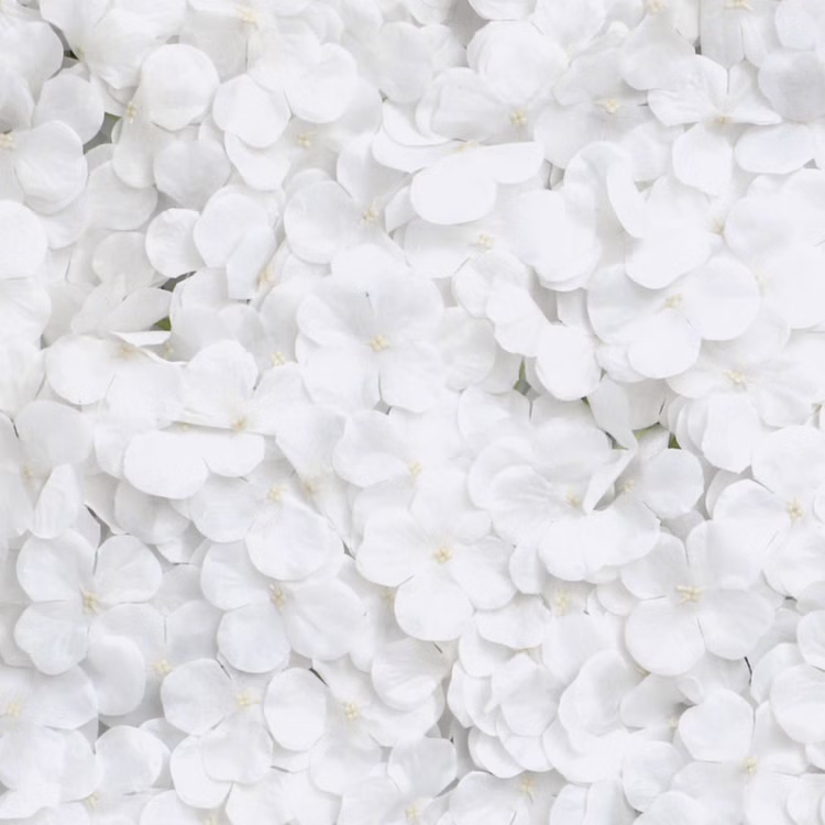15597-Blumenpaneel-weisse-Hortensien-60-x-40-cm-Wand-Deko-Hochzeit-Geburtstag_1.jpg 15597-Blumenpaneel-weisse-Hortensien-60-x-40-cm-Wand-Deko-Hochzeit-Geburtstag_1.jpg