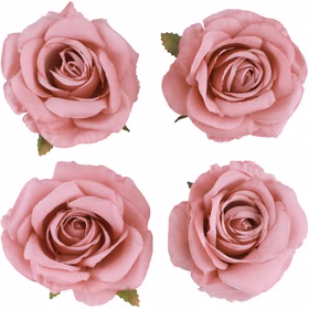 Vier altrosa Deko-Rosenköpfe im 4er-Set, je 11 x 6 cm groß.
