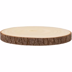 Runde Baumscheibe aus Paulownia-Holz in Seitenansicht mit sichtbarer Rinde und hellem Holz, flach liegend auf weißem Hintergrund.