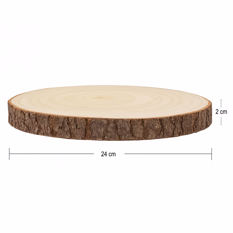 Baumscheibe 24 cm Happy Birthday Wunscherfüller Geldgeschenk Individuelles Geschenk DIY-Geschenkidee Geburtstag Holzscheibe Bastelbedarf Basteln Seitliche Ansicht einer runden Baumscheibe mit natürlicher Rinde, dargestellt mit Maßangaben von 24 cm Durchmesser und 2 cm Höhe.