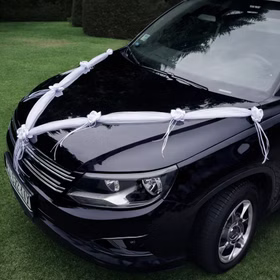 Schwarzes Auto auf einer Wiese mit weißem Autoschmuck in V-Form auf der Motorhaube dekoriert.