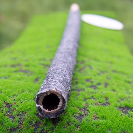 Fackel 90 Min. Brenndauer Tuchfackel mit Tropfschutz 60cm lang Wanderung Lagefeuer Fackeln Fackelumzug Fackelwanderung Garten-Deko Party Fackel 90 Min. Brenndauer Tuchfackel mit Tropfschutz 60cm lang Wanderung Lagefeuer Fackeln Fackelumzug Fackelwanderung Garten-Deko Party