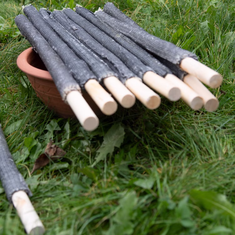 10x Fackeln 120 Min. Brennzeit 65 cm lang Wanderung 2 h Fackel Wachstuchfackel lange Brenndauer Garten Deko Sommer-Party Grillabend Fackelwanderung 10x Fackeln 120 Min. Brennzeit 65 cm lang Wanderung 2 h Fackel Wachstuchfackel lange Brenndauer Garten Deko Sommer-Party Grillabend Fackelwanderung