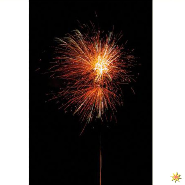 Batteriefeuerwerk Out of Limits 30 Sek. von Nico Nico Out of Limits Feuerwerk online kaufen Silvesterfeuerwerk bestellen
