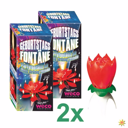 Geburtstagsfontänen mit Musik Blume Torten Fontäne Feuerwerk kaufen Geburtstagsfontänen mit Musik Blume Torten Fontäne Feuerwerk kaufen